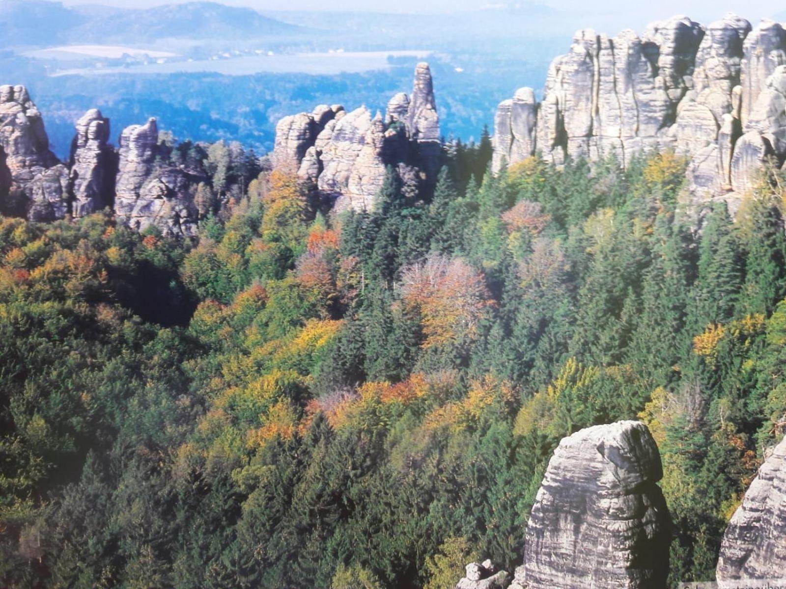 Ferienwohnung-Ritscher-In-Lichtenhain-2 Lichtenhain  Екстериор снимка